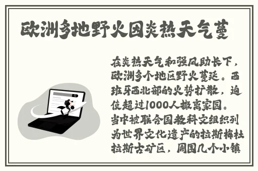 亚洲精品久久国产高清